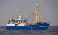 Kapal pukat jaring untuk dijual
