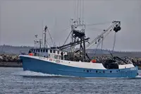Kapal pukat cincin untuk dijual