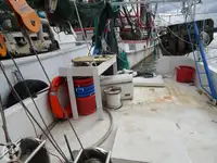 Kapal pukat untuk dijual