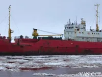 Kapal pendingin untuk dijual