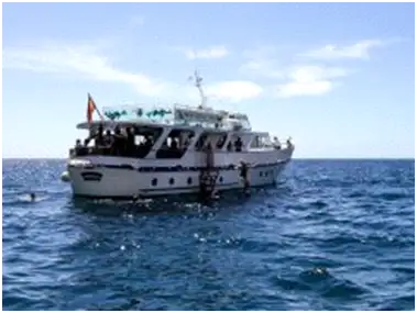 Kapal pesiar untuk dijual