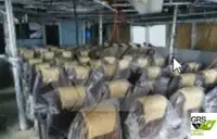Kapal penumpang untuk dijual