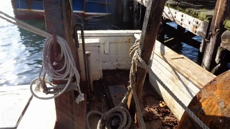 Kapal pukat untuk dijual