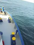 Kapal pendingin untuk dijual