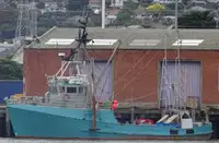 Trawler dijual