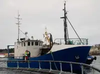 Trawler dijual