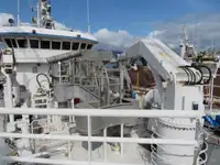 Kapal pukat cincin untuk dijual