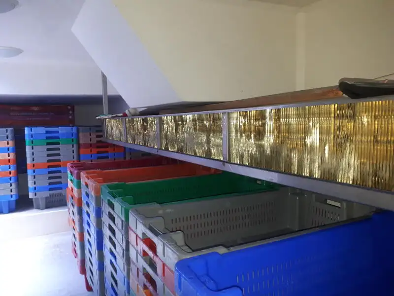 Kapal pukat untuk dijual