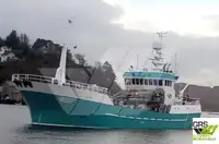 Kapal pukat untuk dijual
