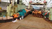 Kapal pukat untuk dijual
