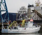 Kapal kontainer untuk dijual