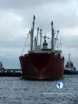 Kapal pendingin untuk dijual