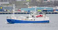 Purse seiner dijual