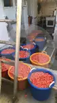 Kapal pukat jaring untuk dijual