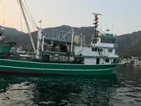 Kapal pukat cincin untuk dijual