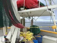 Kapal pukat untuk dijual