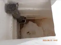 Kapal pukat cincin untuk dijual