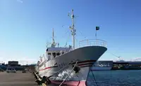 Kapal survei untuk dijual
