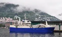 Kapal pukat cincin untuk dijual