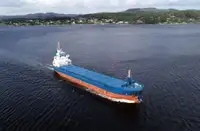 Kapal pengangkut barang curah untuk dijual