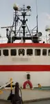 Kapal pendingin untuk dijual