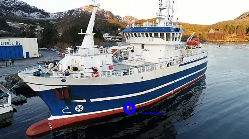 Kapal pukat panjang untuk dijual