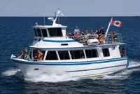 Kapal pesiar untuk dijual