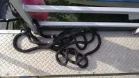 Kapal kontainer untuk dijual