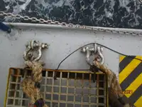Kapal pendingin untuk dijual