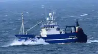 Kapal pukat untuk dijual