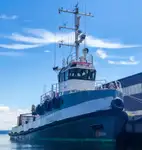 Kapal tunda untuk dijual