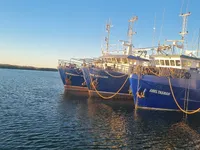 Kapal pukat untuk dijual