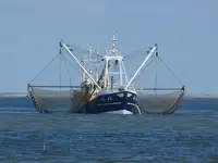 Trawler dijual
