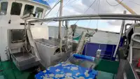Kapal pukat jaring untuk dijual