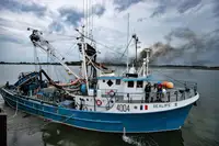 Kapal pukat cincin untuk dijual