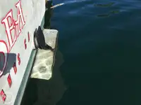 Kapal pukat untuk dijual