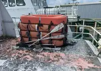 Kapal pesiar untuk dijual