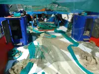 Trawler dijual