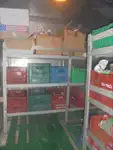 Kapal pendingin untuk dijual