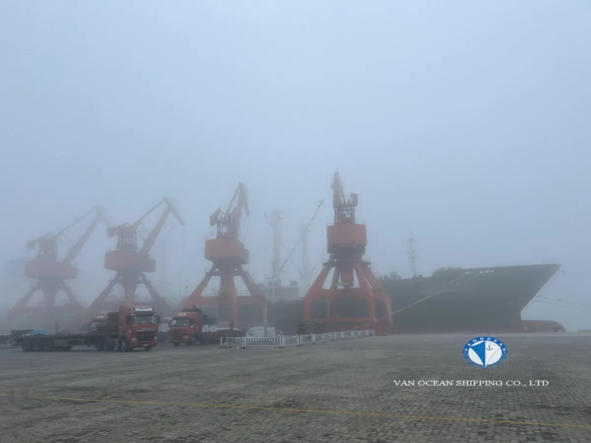 Kapal pendingin untuk dijual