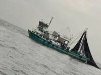 Kapal pukat cincin untuk dijual