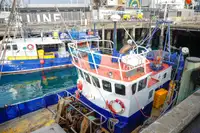 Kapal pengangkut LNG untuk dijual