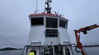 Kapal tunda untuk dijual