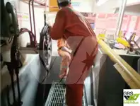 Kapal survei untuk dijual