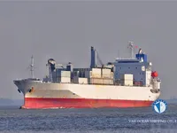 Kapal pendingin untuk dijual