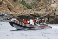 Perahu karet kaku dijual