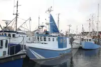 Pembawa ikan hidup dijual