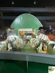 Kapal Ro-Ro untuk dijual