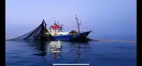 Trawler dijual
