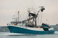 Kapal pukat cincin untuk dijual